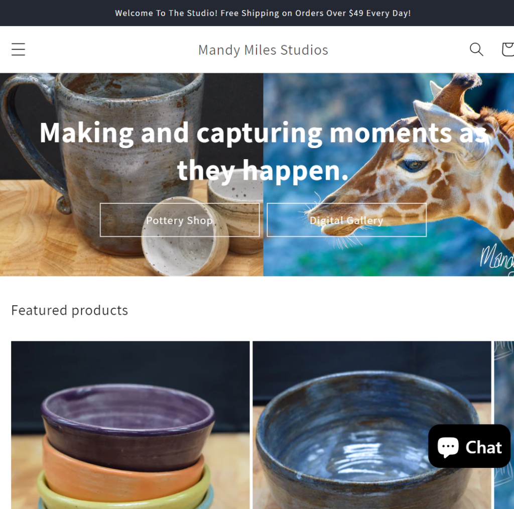 screenshot of an art website selling pottery and digital photo prints